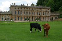 Dyrham Park